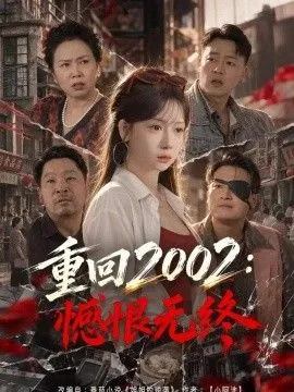 重回2002：憾恨无终