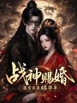 战神赐婚，深宫实录昭华年