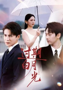 过期白月光