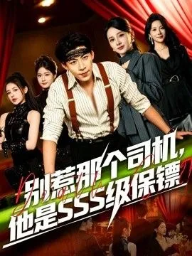 别惹那个司机,他是SSS级保镖