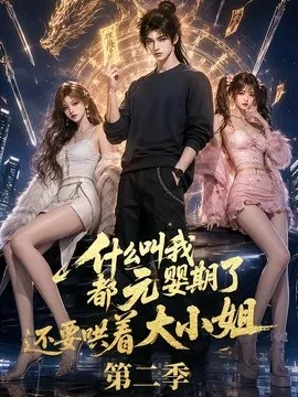 什么叫我都元婴期了还要哄着大小姐第二季