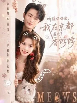 听懂喵喵语，我在京都混成了香饽饽