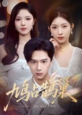 鸠占鹊巢&顶流夫人的致命陷阱