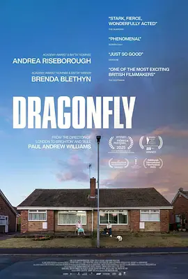 危情蜻蜓[电影解说]