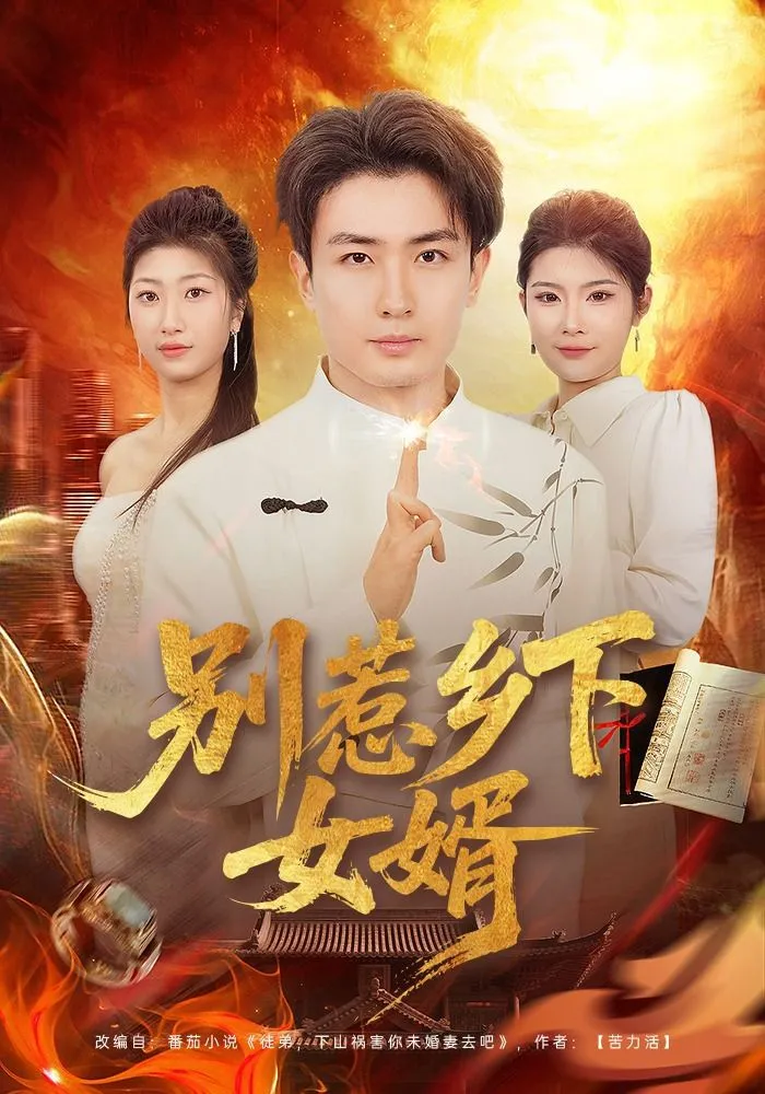 别惹乡下女婿