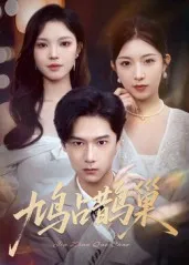 鸠占鹊巢，顶流夫人的致命陷阱