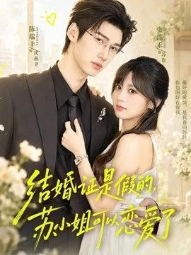 结婚证是假的，苏小姐可以恋爱了