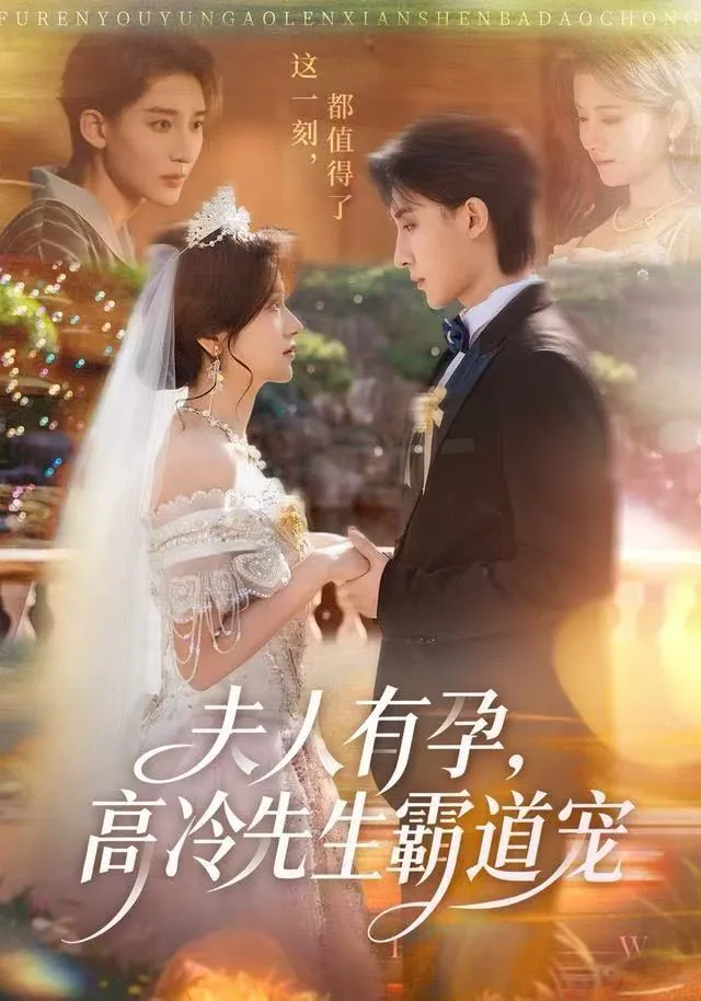 夫人有孕，高冷先生霸道宠