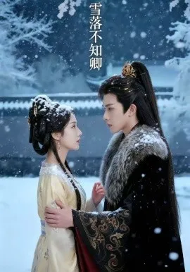 雪落不知卿