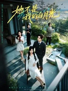 她不是我的白月光