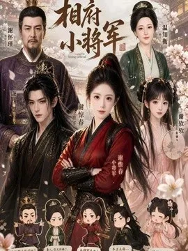 相府小将军