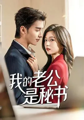 我的老公是秘书