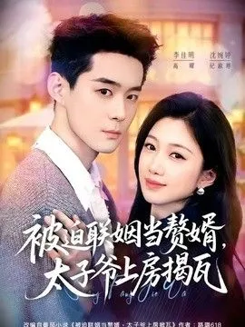 被迫联姻当赘婿，太子爷上房揭瓦