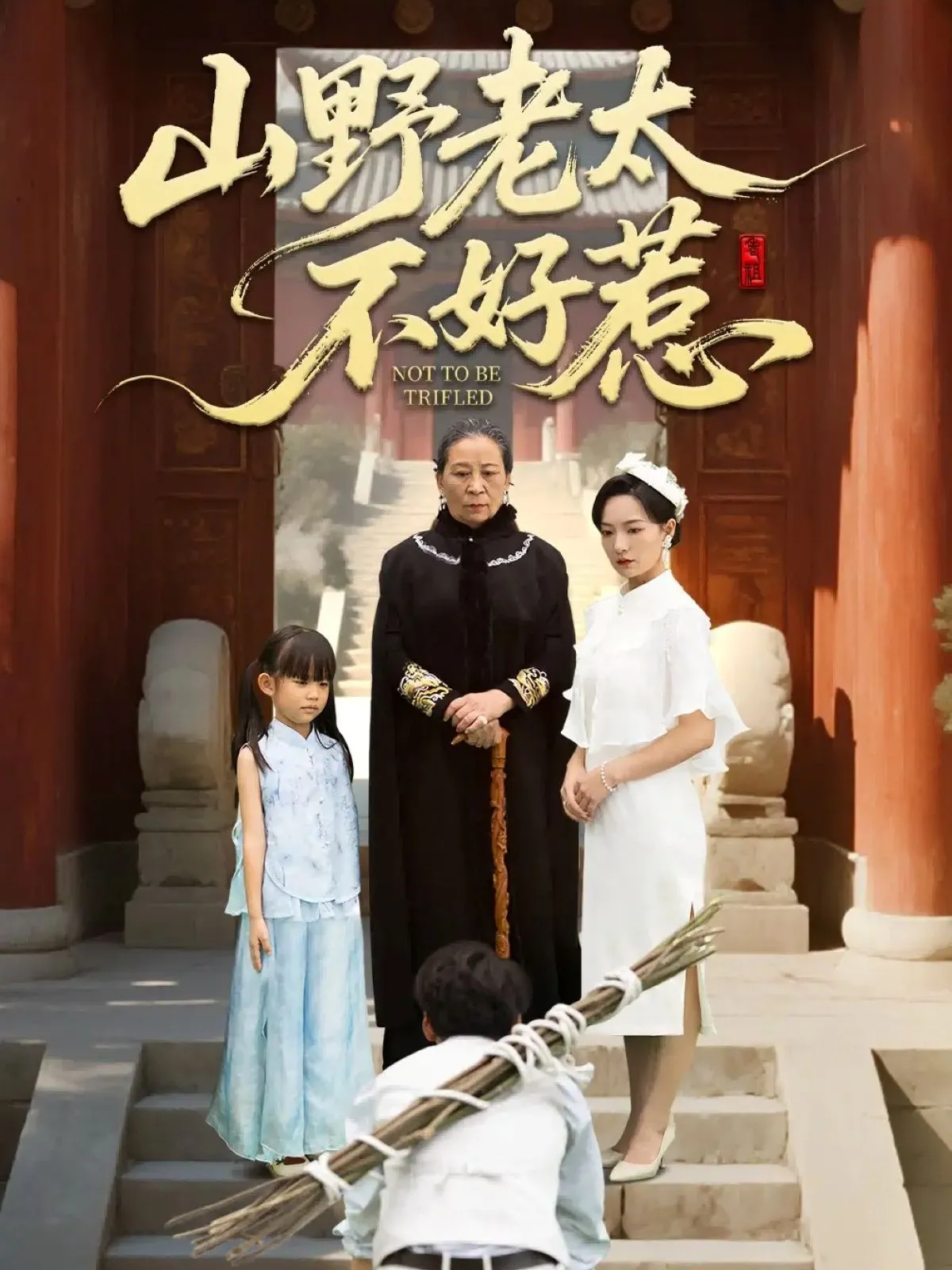 山野老太不好惹（奶奶一脚震全城）