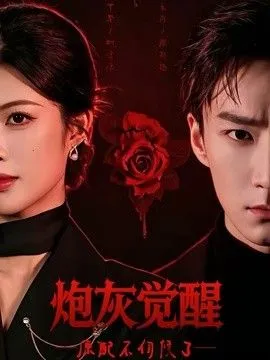 炮灰觉醒，原配不伺候了